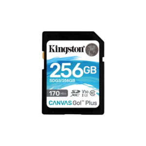 Kingston V30 SD 256GB